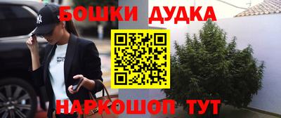 бошки Будённовск