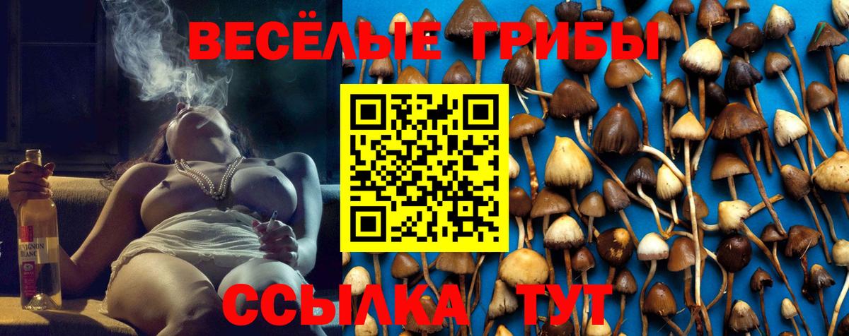 Псилоцибиновые грибы Magic Shrooms Биробиджан