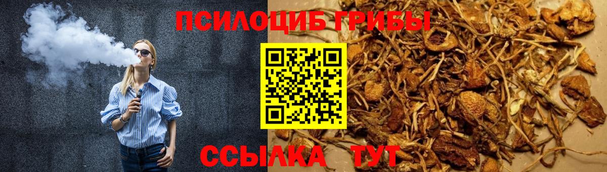 Биробиджан  Галлюциногенные грибы Psilocybine cubensis  Вход с VPN 